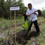 Gubernur Ansar saat menanam bibit kelapa di Desa Prayun, Kundur Barat.Rabu (28/12/22).f.dok.DK.