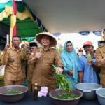 Gubernur Ansar saat berkunjung dan memberi bantuan pertanian di Desa Semedang, Kecamatan Bunguran Batubi, Natuna.