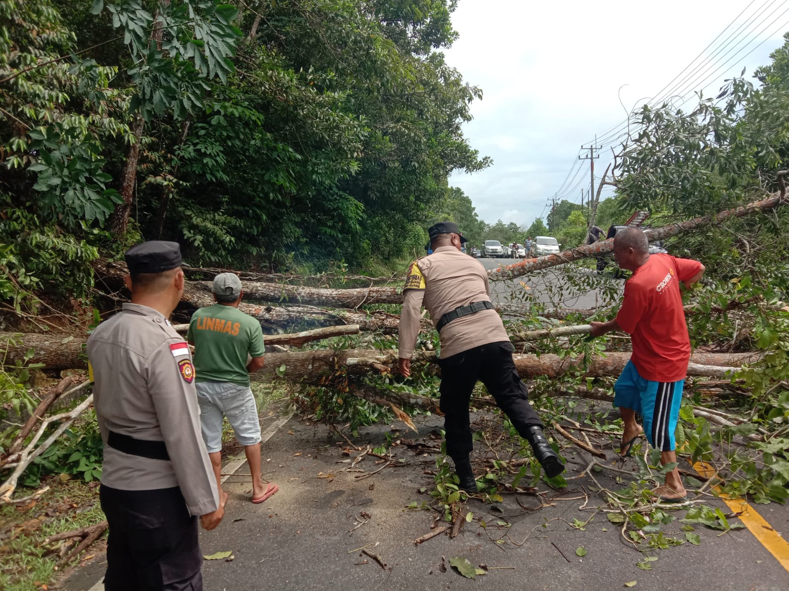Personil Polres Bintan Evakuasi Pohon Tumbang yang mengganggu lalu lintas Jalan , Sabtu (01/06/24)/f.dok.Hms.